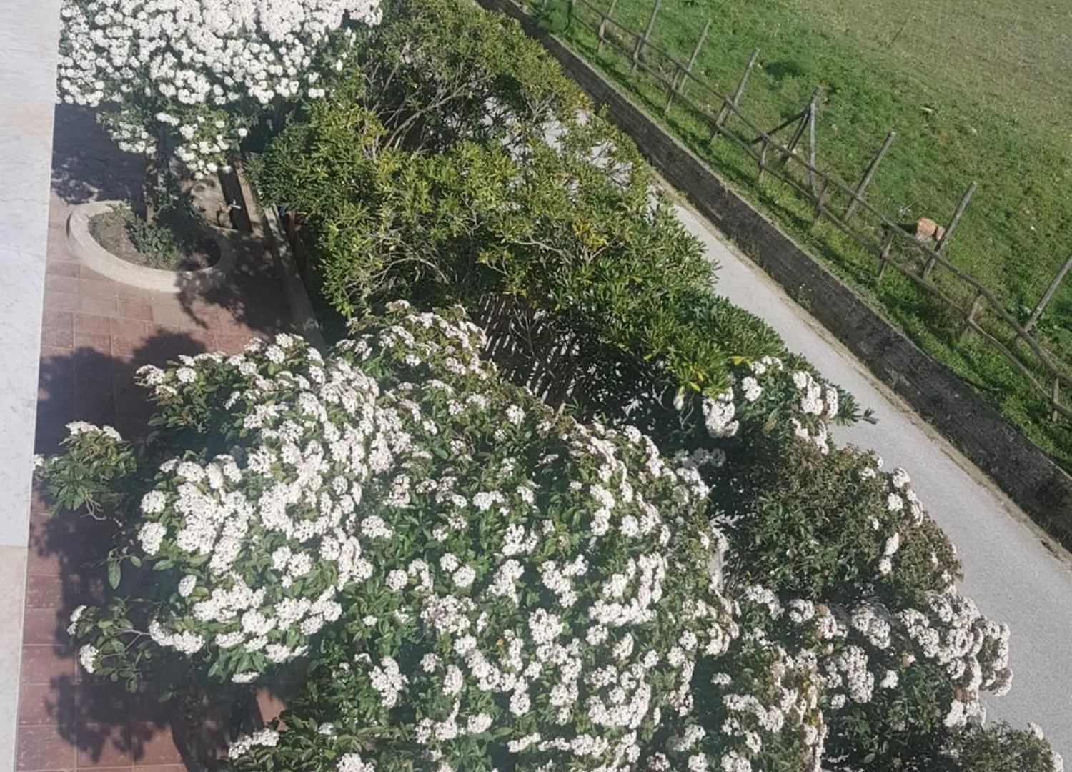 Al Bosco Ficuzza Bed & Breakfast